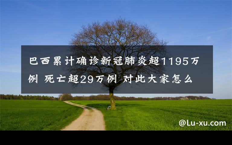 巴西累计确诊新冠肺炎超1195万例 死亡超29万例 对此大家怎么看？