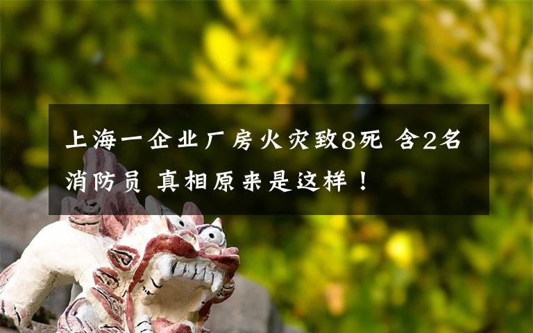 上海一企业厂房火灾致8死 含2名消防员 真相原来是这样！