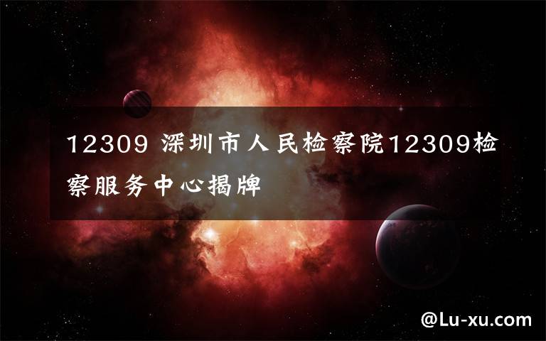12309 深圳市人民检察院12309检察服务中心揭牌