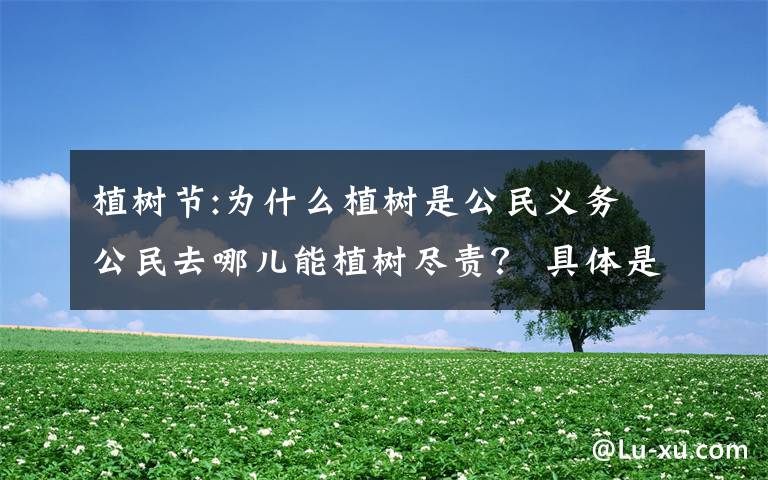 植树节:为什么植树是公民义务 公民去哪儿能植树尽责？ 具体是什么情况？