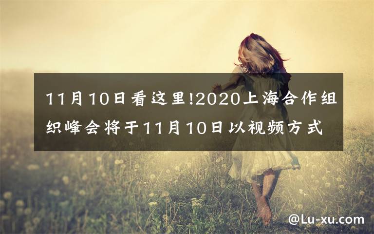 11月10日看这里!2020上海合作组织峰会将于11月10日以视频方式举行