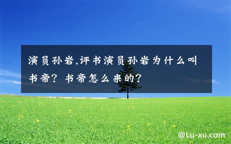 演员孙岩,评书演员孙岩为什么叫书帝？书帝怎么来的？