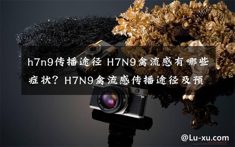 h7n9传播途径 H7N9禽流感有哪些症状？H7N9禽流感传播途径及预防措施