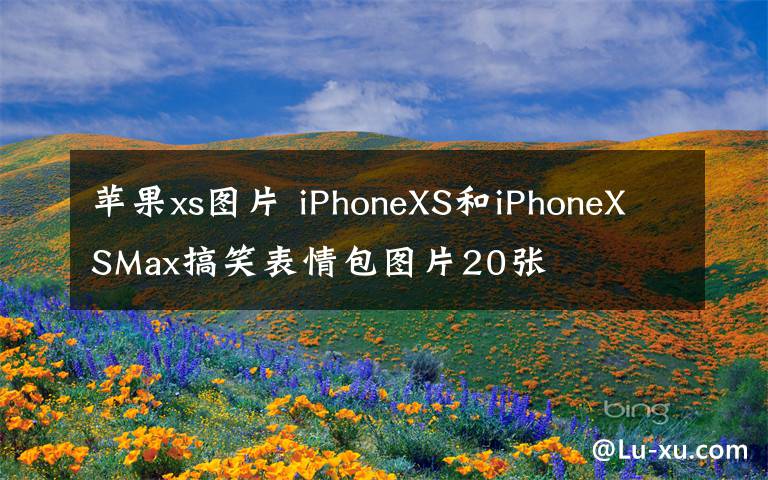 苹果xs图片 iPhoneXS和iPhoneXSMax搞笑表情包图片20张