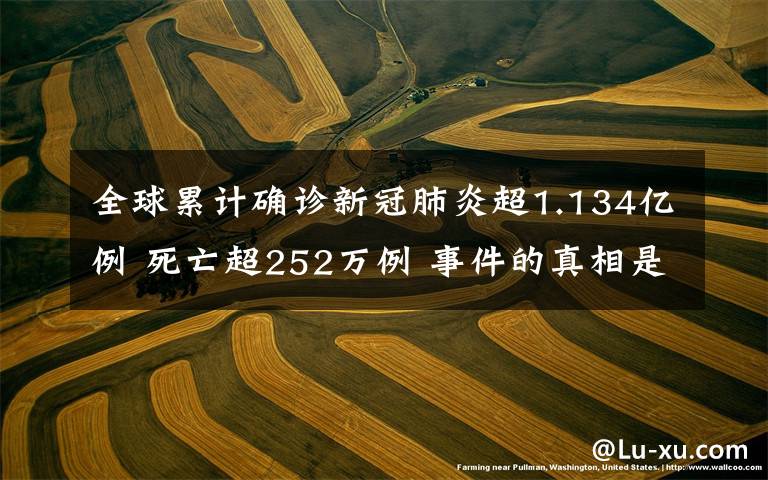 全球累计确诊新冠肺炎超1.134亿例 死亡超252万例 事件的真相是什么？