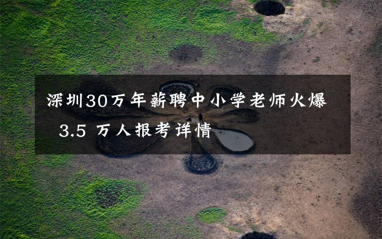 深圳30万年薪聘中小学老师火爆 3.5 万人报考详情