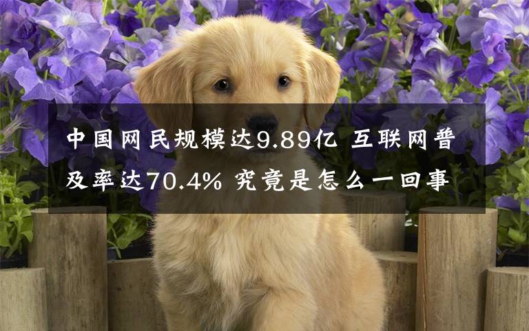 中国网民规模达9.89亿 互联网普及率达70.4% 究竟是怎么一回事?