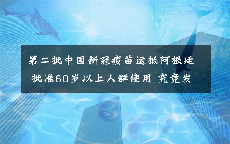 第二批中国新冠疫苗运抵阿根廷 批准60岁以上人群使用 究竟发生了什么?