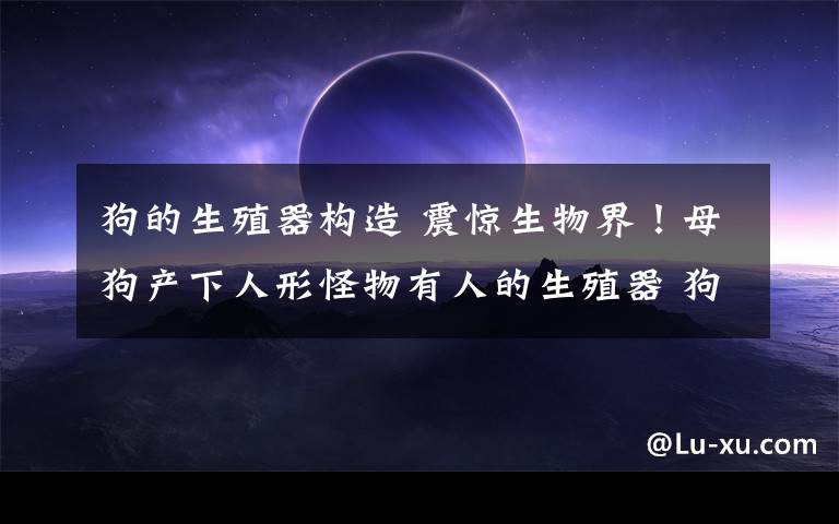 狗的生殖器构造 震惊生物界！母狗产下人形怪物有人的生殖器 狗“怪物”呈人形