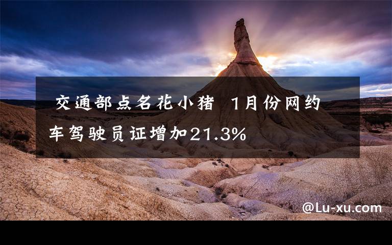  交通部点名花小猪 1月份网约车驾驶员证增加21.3%