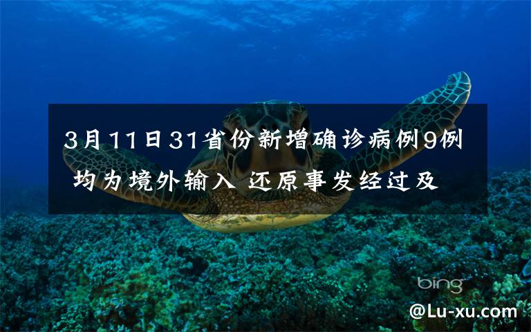 3月11日31省份新增确诊病例9例 均为境外输入 还原事发经过及背后原因！