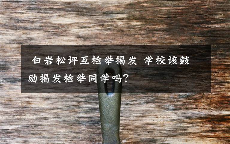  白岩松评互检举揭发 学校该鼓励揭发检举同学吗？