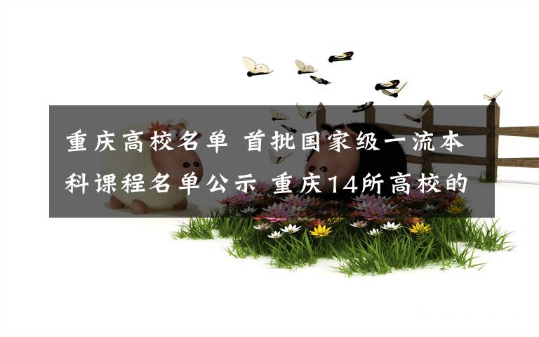 重庆高校名单 首批国家级一流本科课程名单公示 重庆14所高校的85门“金课”入选
