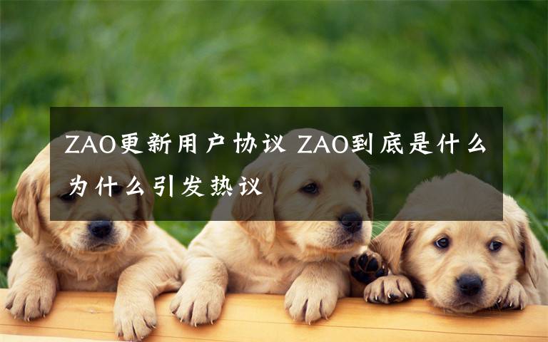 ZAO更新用户协议 ZAO到底是什么为什么引发热议