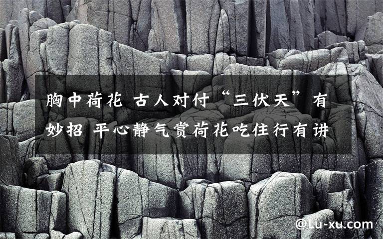 胸中荷花 古人对付“三伏天”有妙招 平心静气赏荷花吃住行有讲究