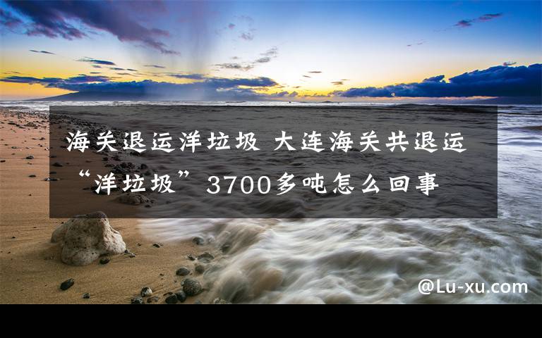 海关退运洋垃圾 大连海关共退运“洋垃圾”3700多吨怎么回事