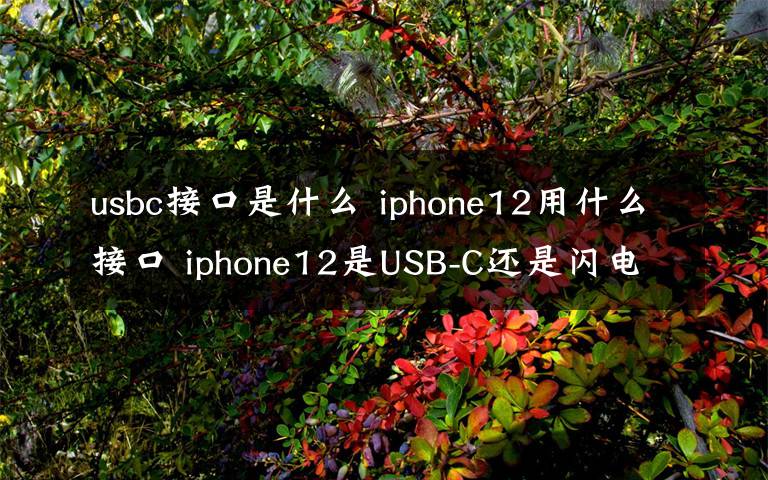usbc接口是什么 iphone12用什么接口 iphone12是USB-C还是闪电接口