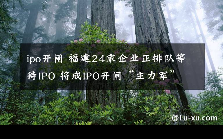 ipo开闸 福建24家企业正排队等待IPO 将成IPO开闸“主力军”