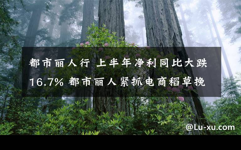 都市丽人行 上半年净利同比大跌16.7% 都市丽人紧抓电商稻草挽救业绩