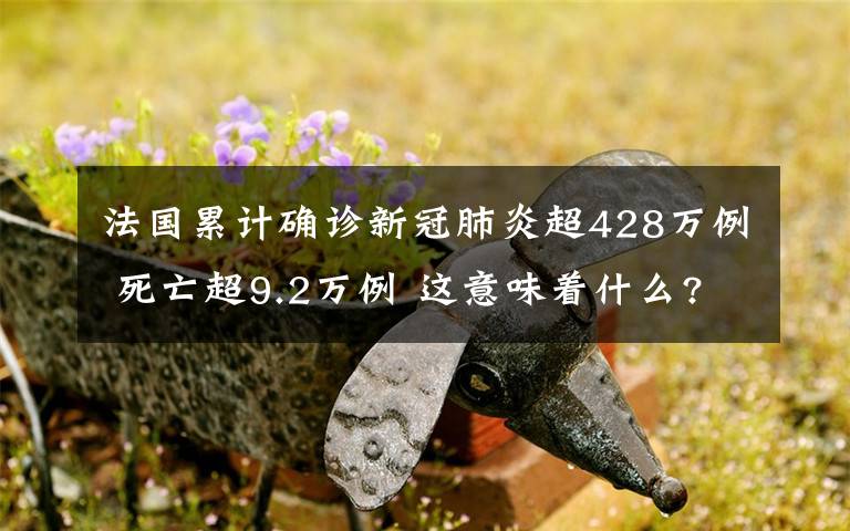 法国累计确诊新冠肺炎超428万例 死亡超9.2万例 这意味着什么?