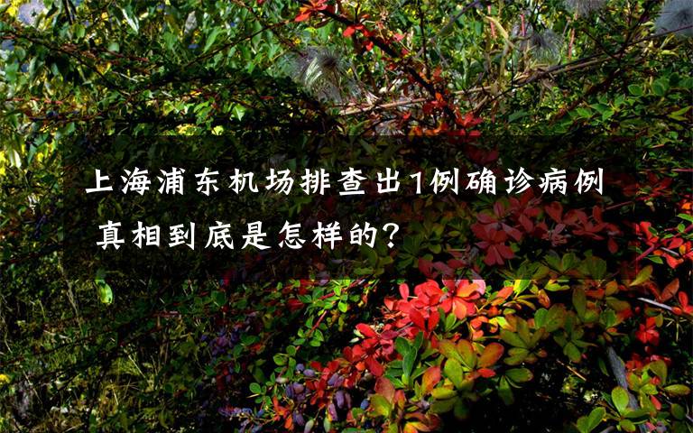 上海浦东机场排查出1例确诊病例 真相到底是怎样的？