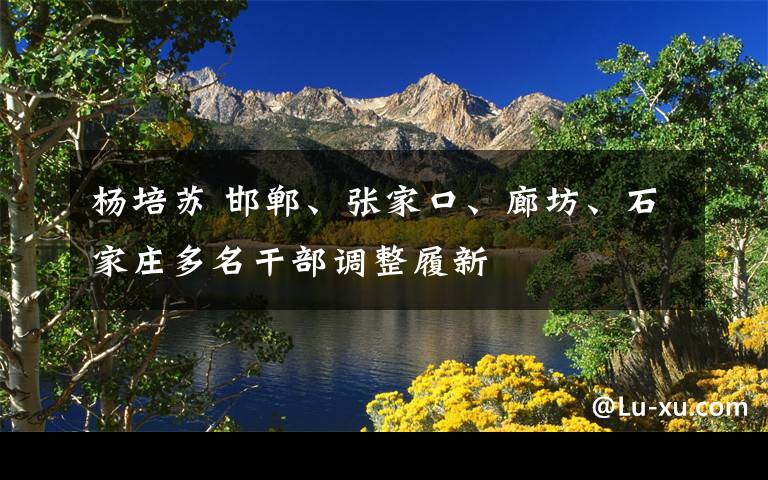 杨培苏 邯郸、张家口、廊坊、石家庄多名干部调整履新