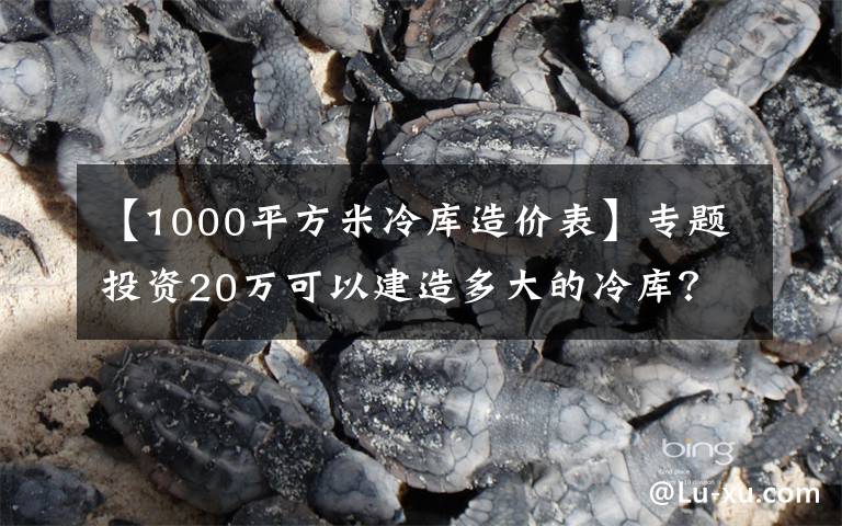 【1000平方米冷库造价表】专题投资20万可以建造多大的冷库？冷库工程造价表