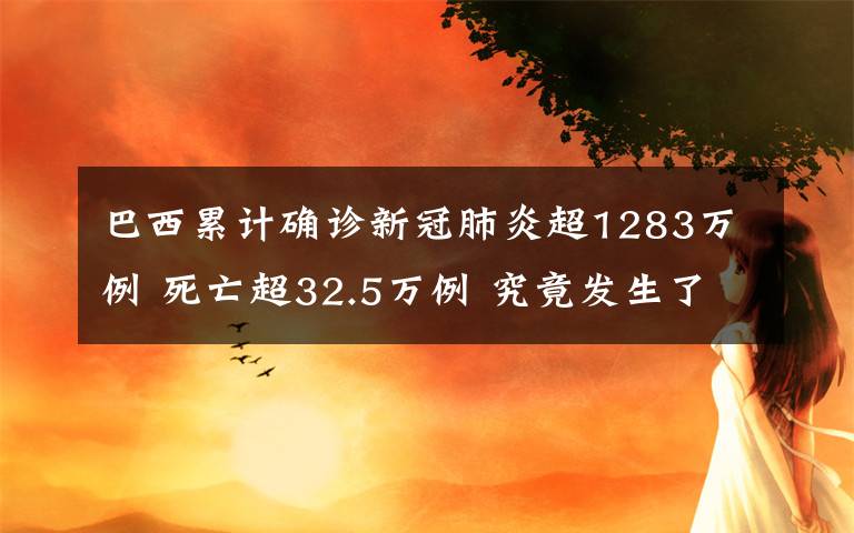 巴西累计确诊新冠肺炎超1283万例 死亡超32.5万例 究竟发生了什么?