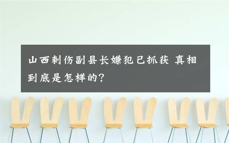 山西刺伤副县长嫌犯已抓获 真相到底是怎样的？