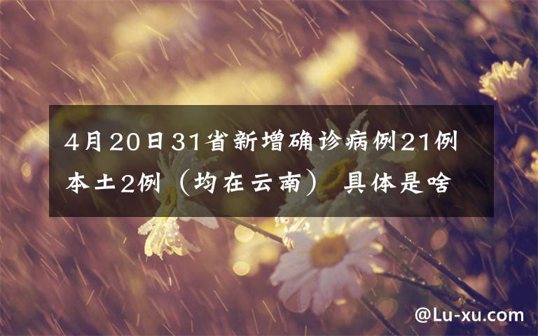 4月20日31省新增确诊病例21例 本土2例（均在云南） 具体是啥情况?