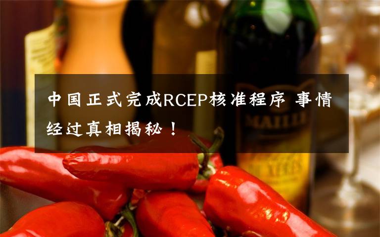 中国正式完成RCEP核准程序 事情经过真相揭秘！