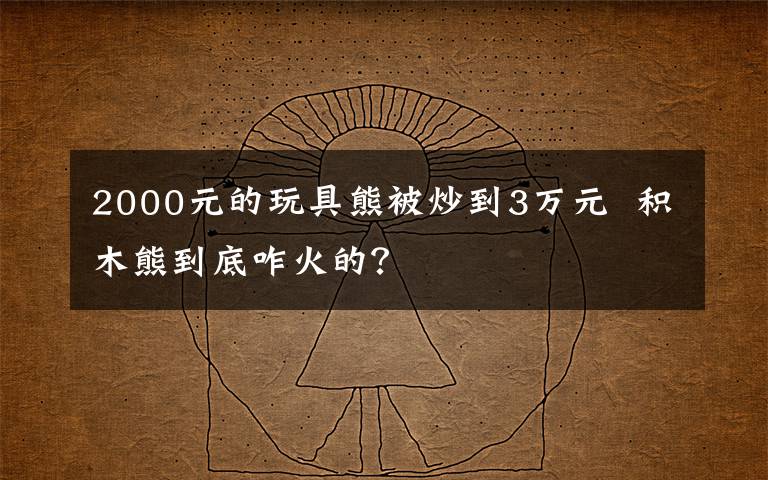 2000元的玩具熊被炒到3万元  积木熊到底咋火的？