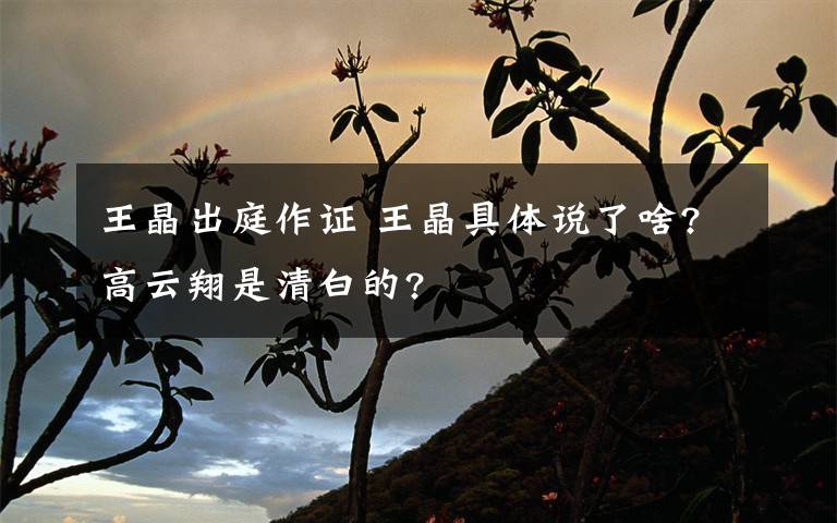 王晶出庭作证 王晶具体说了啥?高云翔是清白的?