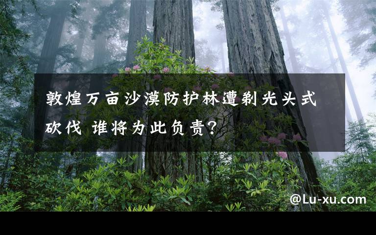 敦煌万亩沙漠防护林遭剃光头式砍伐 谁将为此负责？