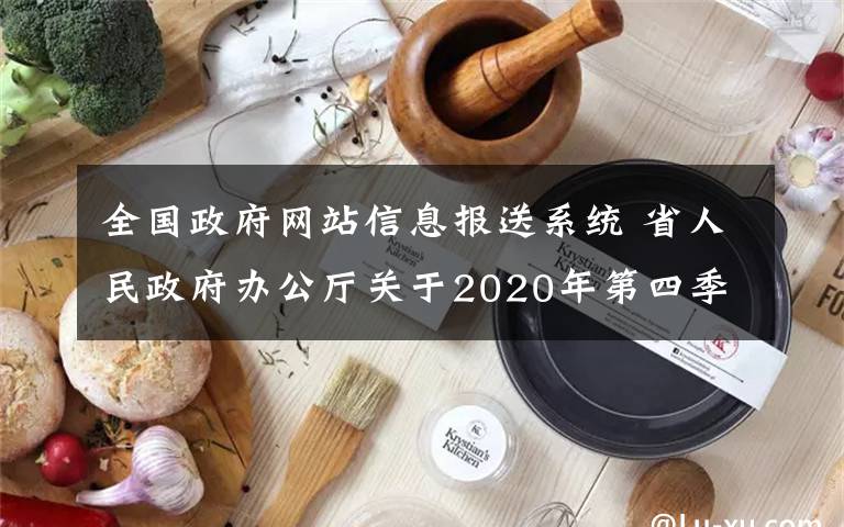 全国政府网站信息报送系统 省人民政府办公厅关于2020年第四季度 全省政府网站检查情况的通报