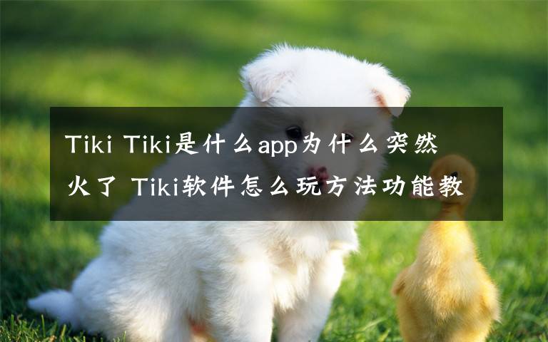 Tiki Tiki是什么app为什么突然火了 Tiki软件怎么玩方法功能教程