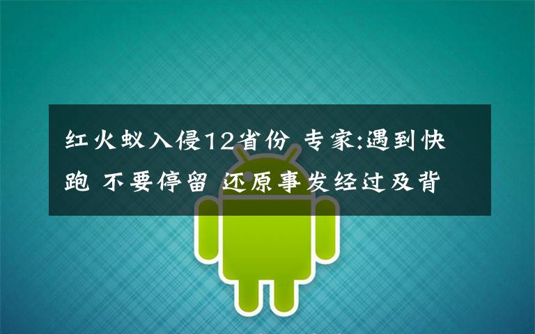 红火蚁入侵12省份 专家:遇到快跑 不要停留 还原事发经过及背后原因！