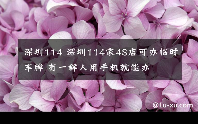 深圳114 深圳114家4S店可办临时车牌 有一群人用手机就能办