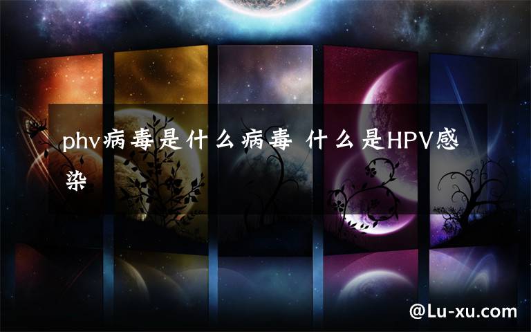 phv病毒是什么病毒 什么是HPV感染