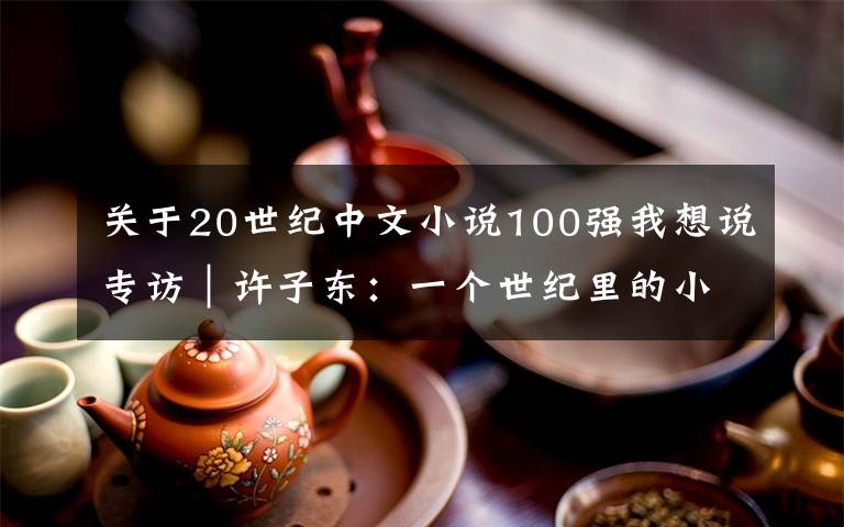 关于20世纪中文小说100强我想说专访｜许子东：一个世纪里的小说，一个世纪里的中国故事