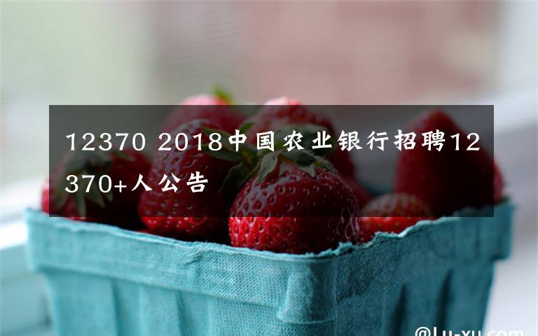 12370 2018中国农业银行招聘12370+人公告