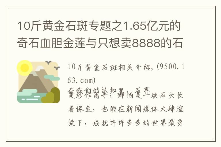 10斤黄金石斑专题之1.65亿元的奇石血胆金莲与只想卖8888的石斑鱼