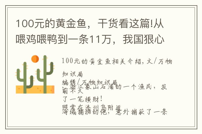 100元的黄金鱼，干货看这篇!从喂鸡喂鸭到一条11万，我国狠心流放30年，为何还救不起一条鱼？