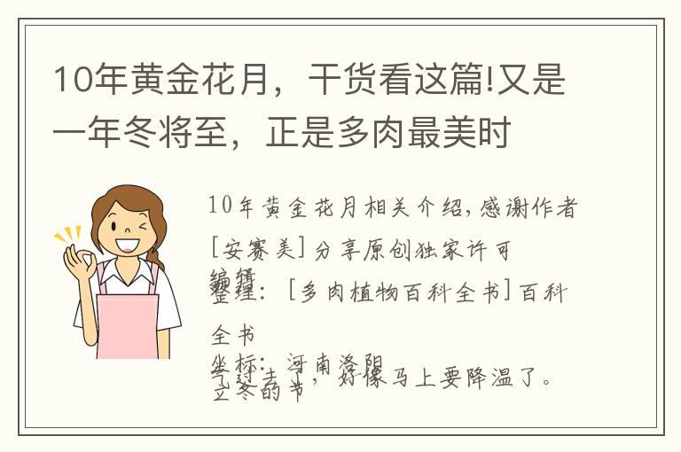 10年黄金花月，干货看这篇!又是一年冬将至，正是多肉最美时