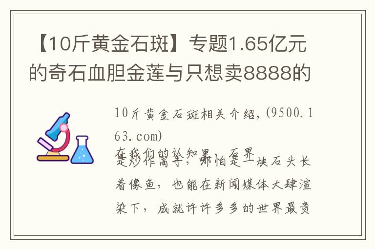 【10斤黄金石斑】专题1.65亿元的奇石血胆金莲与只想卖8888的石斑鱼