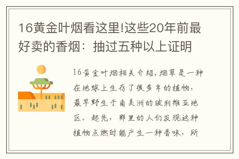 16黄金叶烟看这里!这些20年前最好卖的香烟：抽过五种以上证明你不在年轻了！