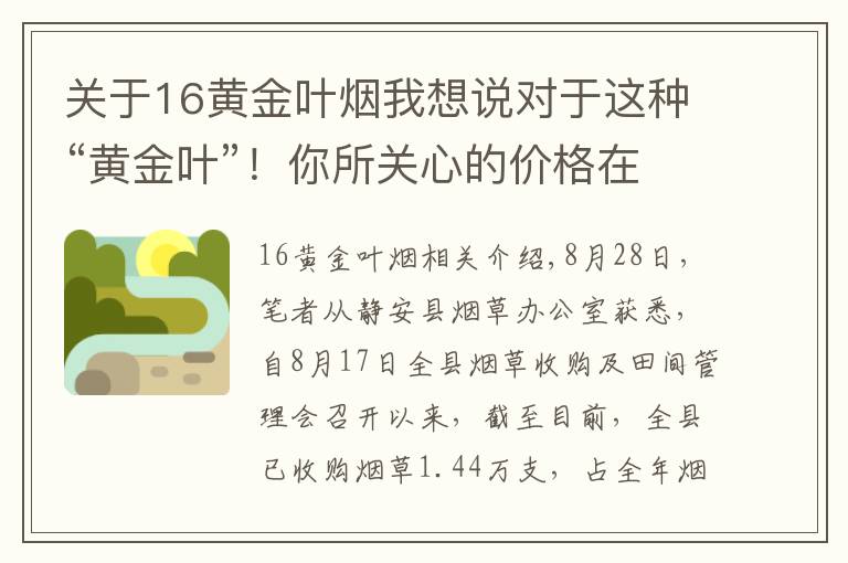 关于16黄金叶烟我想说对于这种“黄金叶”！你所关心的价格在这里……