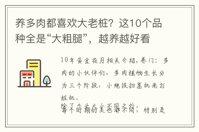 养多肉都喜欢大老桩？这10个品种全是“大粗腿”，越养越好看！