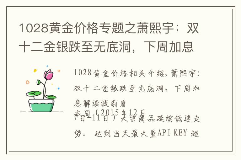 1028黄金价格专题之萧熙宇：双十二金银跌至无底洞，下周加息解读提前看