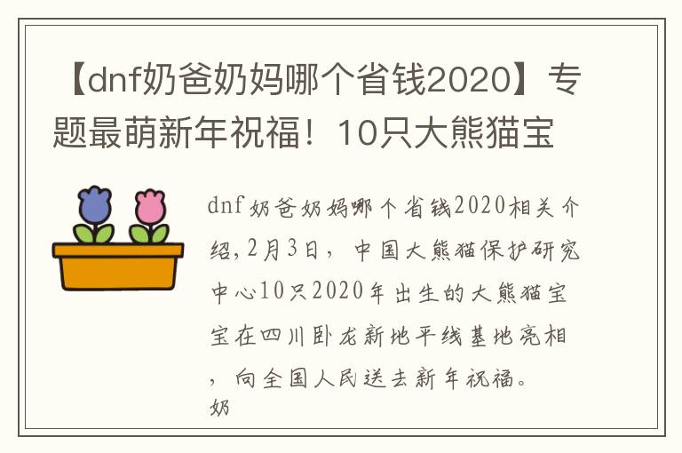 【dnf奶爸奶妈哪个省钱2020】专题最萌新年祝福！10只大熊猫宝宝向全国人民“拜年”